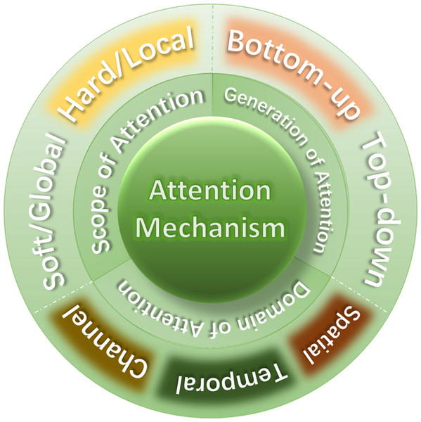Classification of attention mechanism.