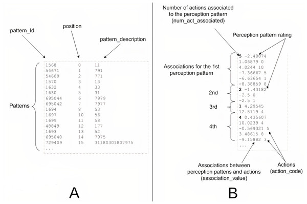 Example of real fragments from exported files.