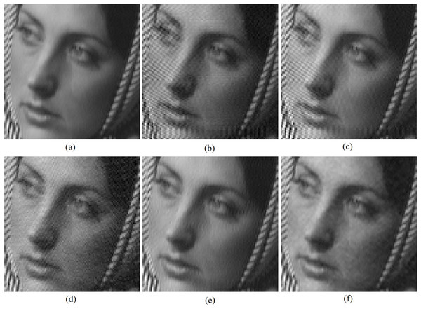 Cropped versions of watermarked Barbara (cover) images produced by various algorithms with the cameraman image as watermark.