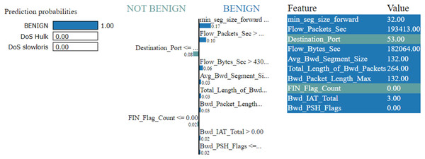 Explanation of the LIME observations for benign.