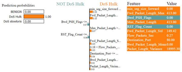 Explanation of the LIME observations for DoS Hulk.