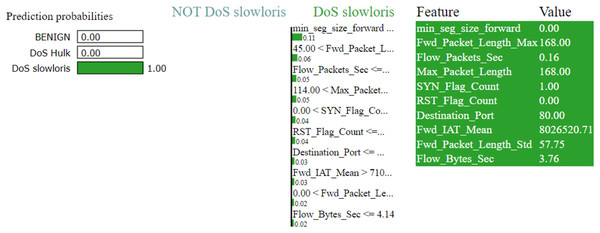 Explanation of the LIME observations for DoS Slowloris.