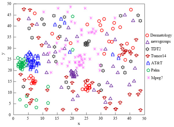 The Tian & Zhou (2020) algorithm network high-dimensional data clustering effect.