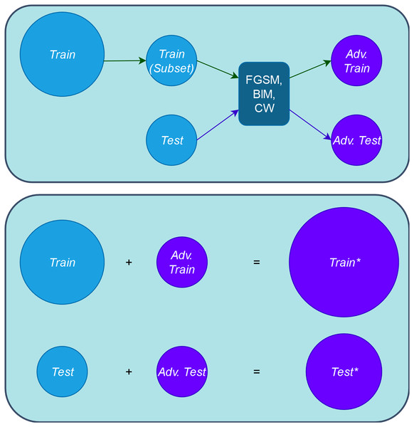 Schema of obtaining adversarial and augmented sets.