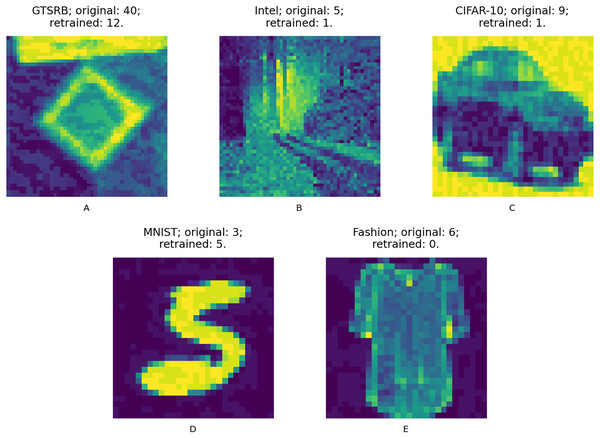 (A–E) Adversarial input samples.