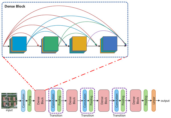 The overall structure and densely connected blocks of LDCNet.