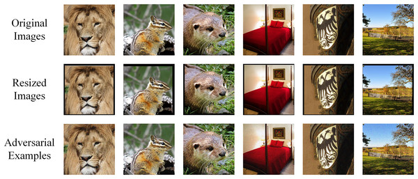 Comparison of original images, RIM-transformed images and adversarial examples by RIM.