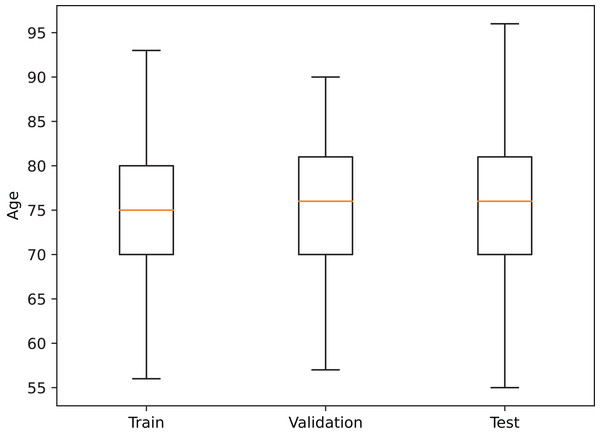 Age distribution in each dataset partition.