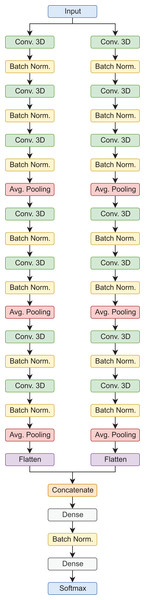 Siamese 3D model architecture.