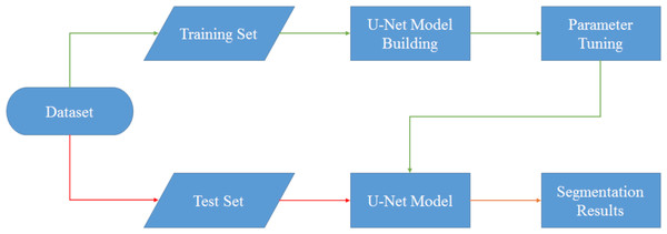 Flowchart of U-Net model segmentation.