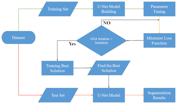 Flowchart of UNet-GOA segmentation model.