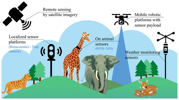 Existing methods for biodiversity analysis using sensor setups.