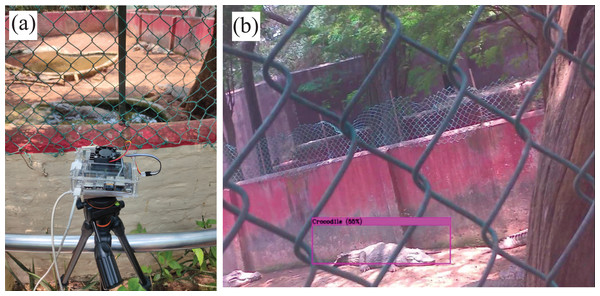 Test setup deployed in the crocodile bank of Guindy National Park.
