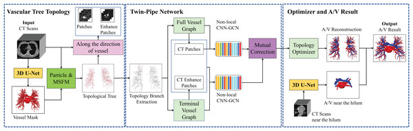 Overview of the proposed method of pulmonary A/V separation including three modules: vessel tree topology extraction, twin-pipe network, and topology optimizer.