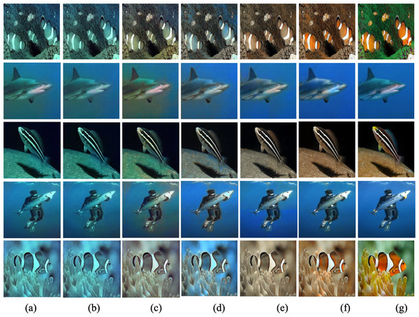 Results of restoration of certain underwater images with noise variance 5.