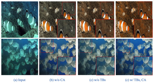 Visual effects of the ablation experiment.