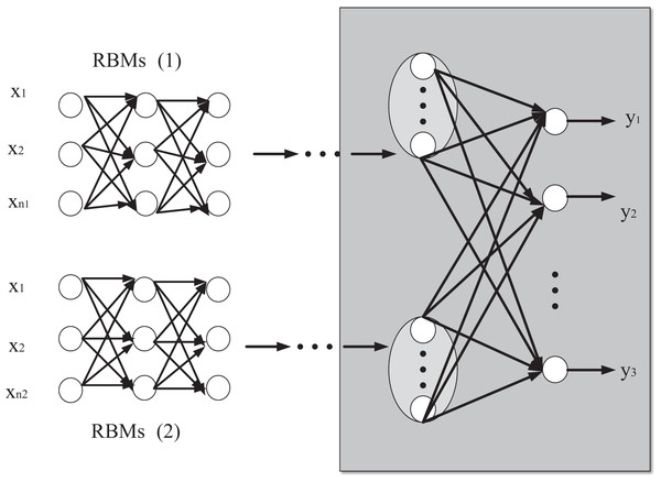 Network propagation structure diagram of RBMs(1) and RBMs(2).