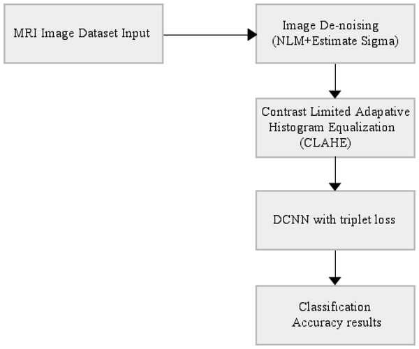 End-to-end automatically DCNN-based AD classifier block diagram.