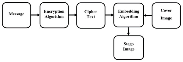 Encoding flow diagram.