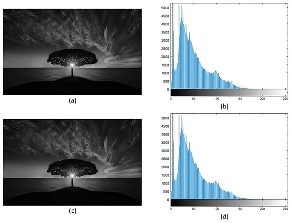 (A) Cover image of nature, (B) histogram of nature, (C) nature stego image, (D) histogram of stego nature.