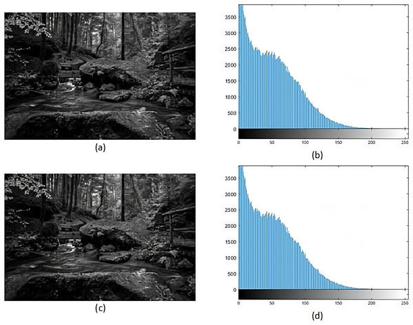 (A) Cover image of forest, (B) histogram of forest, (C) stego image of forest, (D) histogram of stego forest.