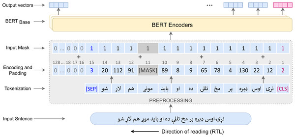 Pre-training procedure of the Pashto BERT Model.