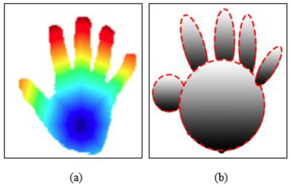 Example results of 3D point modeling and reconstruction (A) fast marching result and (B) 3D reconstruction of hand shape.
