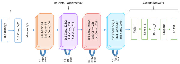 DL architecture used in this study utilizing ResNet50 pre-trained model.