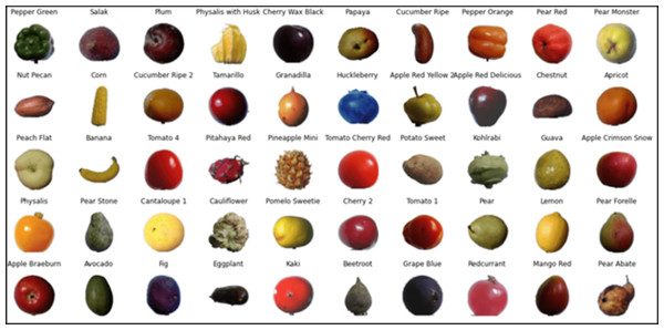 Sample images from the Fruits 360 dataset.