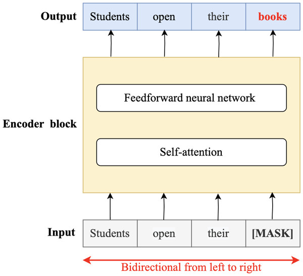 Encoder (masked) language models.
