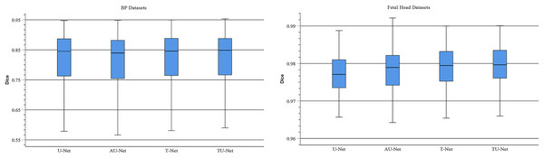 Boxplots of dice scores for different attention mechanisms on BP and fetal head datasets.