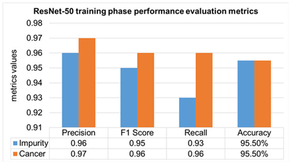 Training phase evaluation of ResNet-50 Model.
