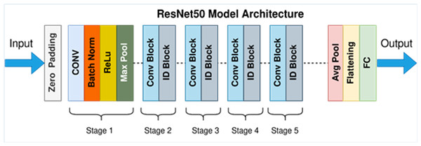 ResNet-50 model architecture (Mukherjee, 2022).