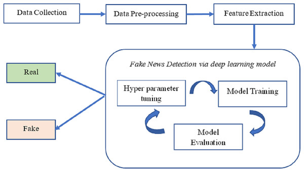 The overall structure of fake news detection.