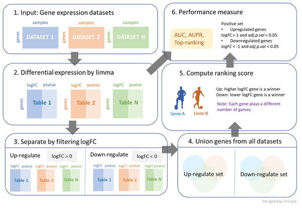 The process of integrating multiple gene expression datasets.