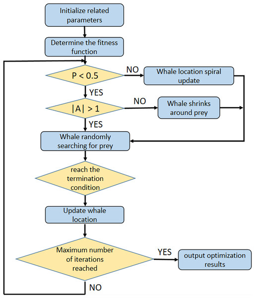 The optimization process of WOA.