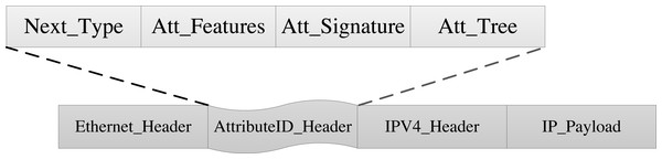 Attribute identification structure.