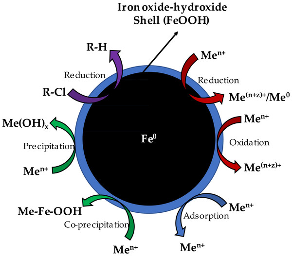 Schematic diagram of Zero-valent iron nanoparticle structure illustrating removal mechanism of heavy metals, organic/inorganic, waste sludge and other toxic compounds (Yang, Kung & Chen, 2019).