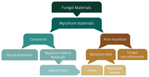 Proposed classification of fungal-based materials, derived from the literature investigated in this review.