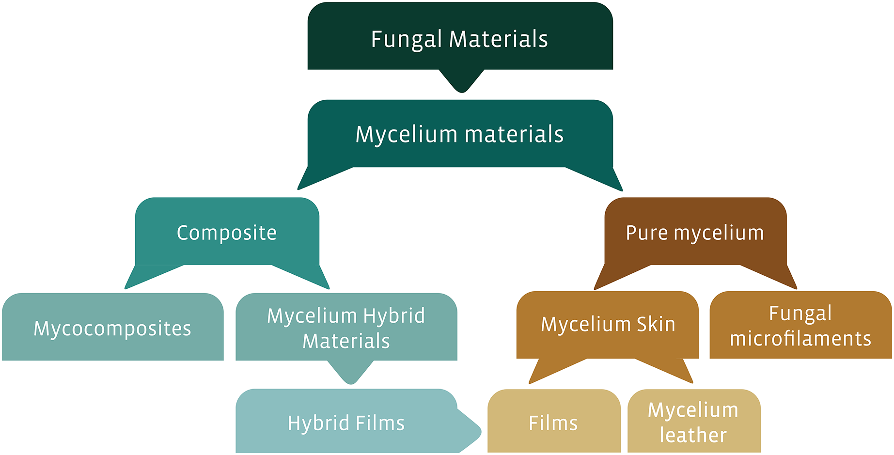 Scheme of engineered living materials and its categorization into