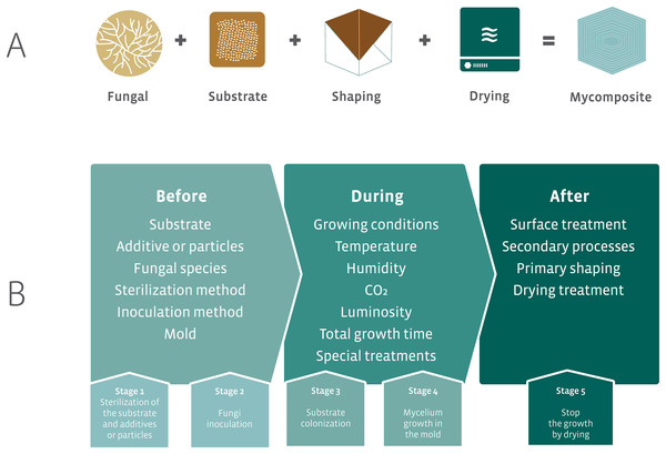 Elements required for the development of mycocomposites.