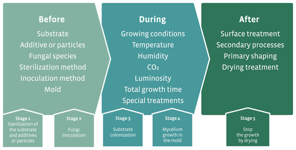 Schematic of the production process of hybrid mycelium materials.