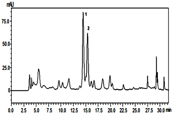 Chemical profile of butanolic extract from P. marginatum roots.