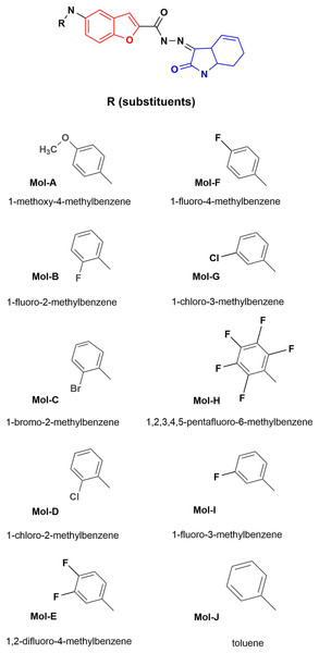 Designed benzofuran (red structure)-isatin (blue structure) molecules.