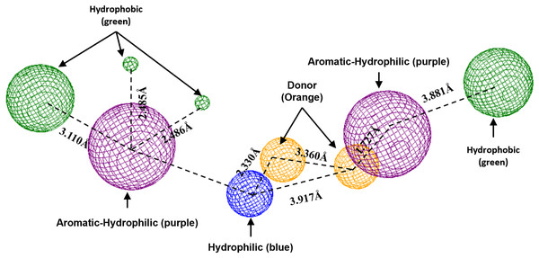 Pharmacophoric model for LpxC protein.