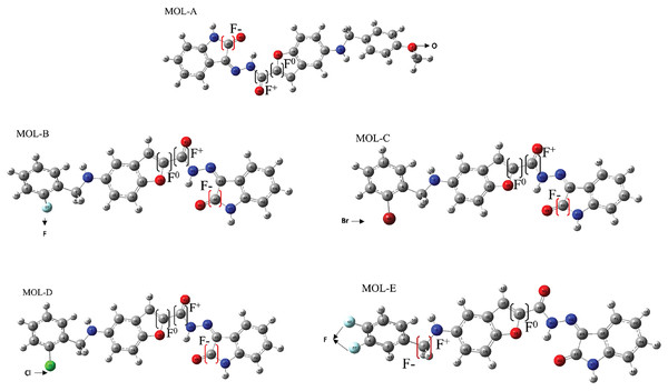 Reactive sites of the first five designed molecules.