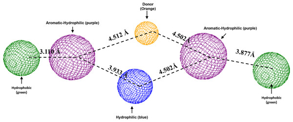 Pharmacophoric model for the Hfq protein of P. aeruginosa.