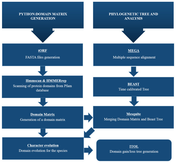 Schematic representation of methodology used for this study.