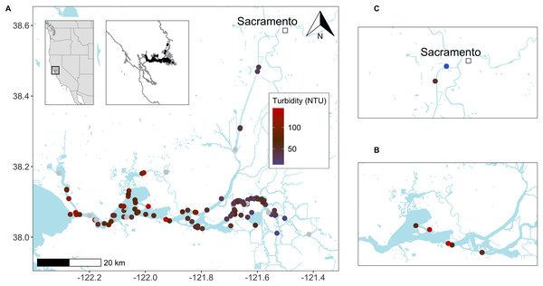 Delta smelt trawl and eDNA studies in the upper San Francisco Estuary (California, USA).