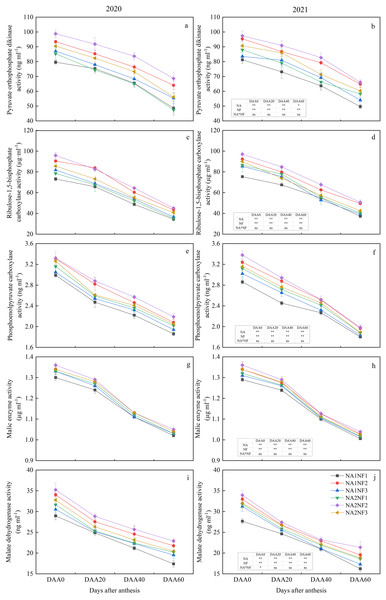 Post-anthesis carbon metabolism enzyme activities in maize at different fertilizer rates and nitrate-to-ammonium nitrogen (N) ratios.